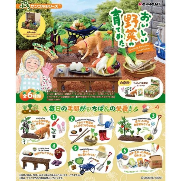 『預購』9月  袖珍美味蔬菜栽培日記  RE-MENT   盒玩 