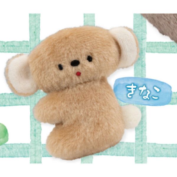 2A757『現貨』nicoyamapocket無尾熊坐坐絨毛公仔 Qualia 扭蛋 轉蛋 