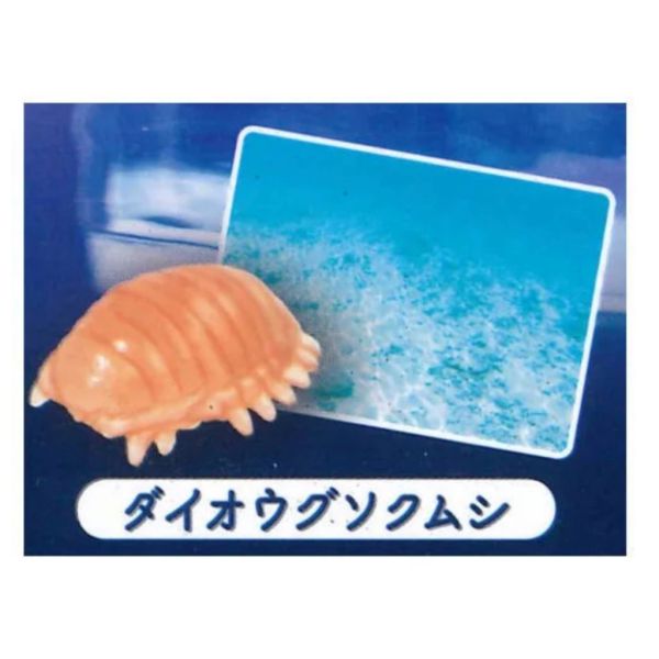 2A475『現貨』迷你水族箱景品-深海篇 YELL 扭蛋 轉蛋 