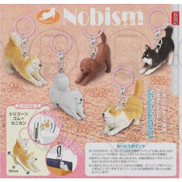 『預購』6月 動物伸懶腰造型吊飾   T-ARTS  扭蛋   轉蛋 