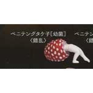 5A440『現貨』中毒蘑菇    Shine-G   扭蛋   轉蛋 