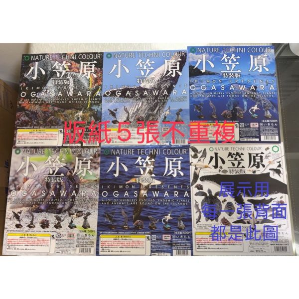 4A566『現貨』NTC圖鑑-小笠原特裝版 IKIMON 扭蛋 轉蛋 