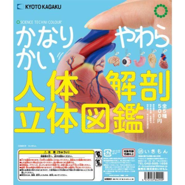 5A442『現貨』STC-柔軟的人體解剖立體圖鑑   IKIMON  扭蛋   轉蛋 