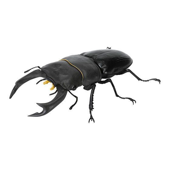 3A659『現貨』生物大圖鑑-鍬形蟲篇09 BANDAI 扭蛋 轉蛋 