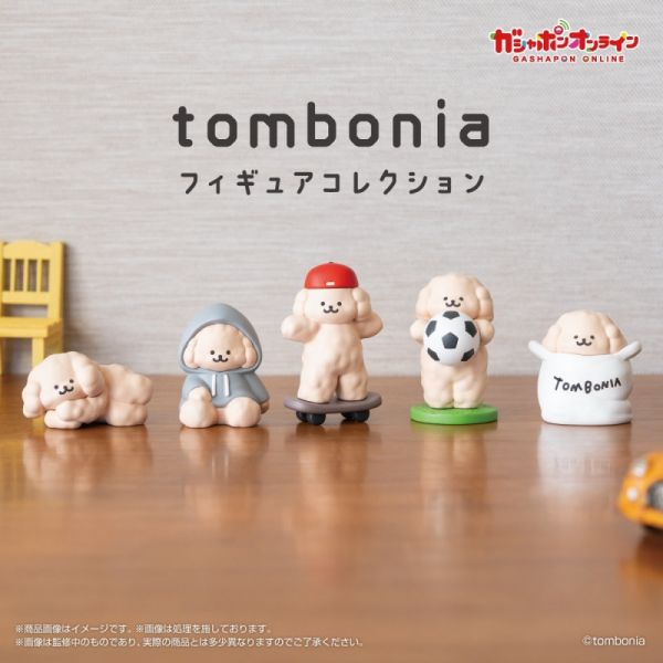 4A827『現貨』tombonia公仔 BANDAI 扭蛋 轉蛋 