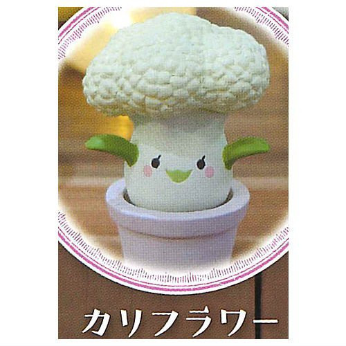 1A296『現貨』曼德拉草造型公仔P2 Standstones 扭蛋 轉蛋 