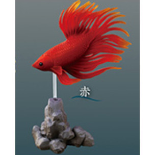 1A994『現貨』鬥魚~Betta~ Standstones 扭蛋 轉蛋 