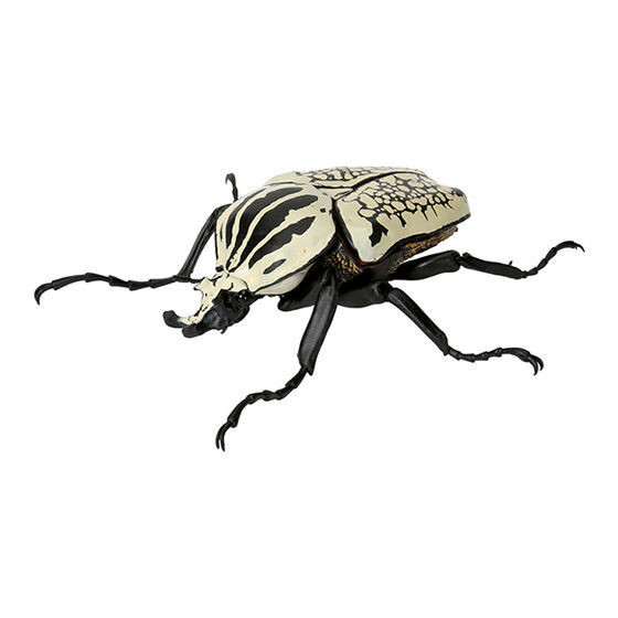 1A513『現貨』獨角仙環保扭蛋05 扭蛋 轉蛋 