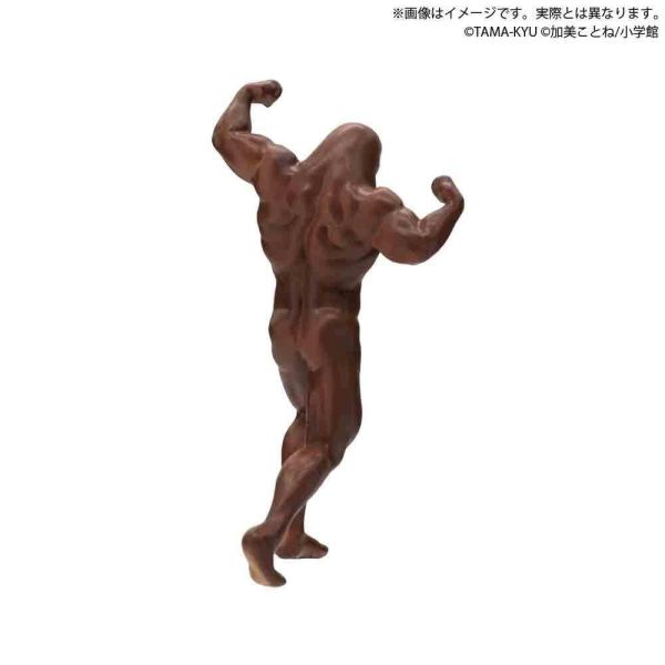 1A989『現貨』TAMA-KYU 鼴鼠-土中的真實- BUSHIROAD 扭蛋 轉蛋 