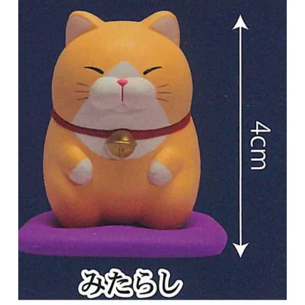 3A912『現貨』鬍鬚饅頭貓正坐公仔P3 AMUSE 扭蛋 轉蛋 