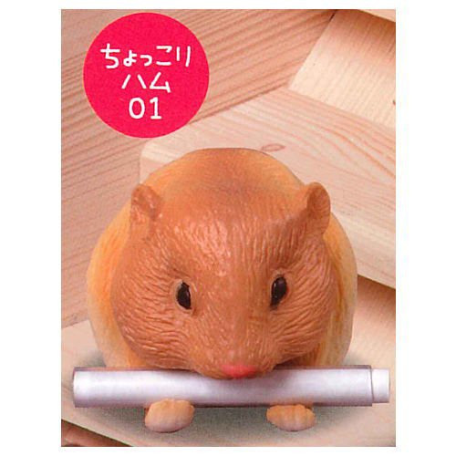 egb252『現貨』新倉鼠御神籤 扭蛋 轉蛋 