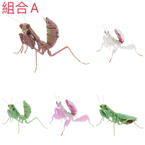 egb747『現貨』螳螂環保扭蛋03 扭蛋 轉蛋 