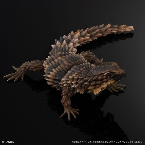 2A42『現貨』生物大圖鑑-犰狳蜥、鬃獅蜥、豹紋壁虎 、肥尾守宮 扭蛋 轉蛋 