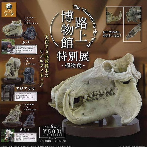 2A680『現貨』路上博物館特別展-植食性動物 SO-TA 扭蛋 轉蛋 