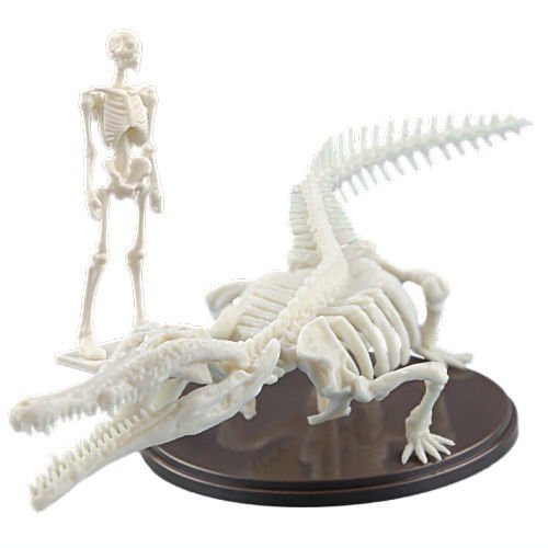 1A684『現貨』博物模型俱樂部 參-豐玉姬鱷篇 SO-TA 扭蛋 轉蛋 