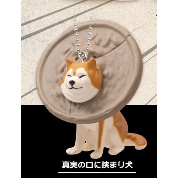 5A828『現貨』卡頭柴犬珠鍊吊飾P3NEW  Qualia  扭蛋   轉蛋 