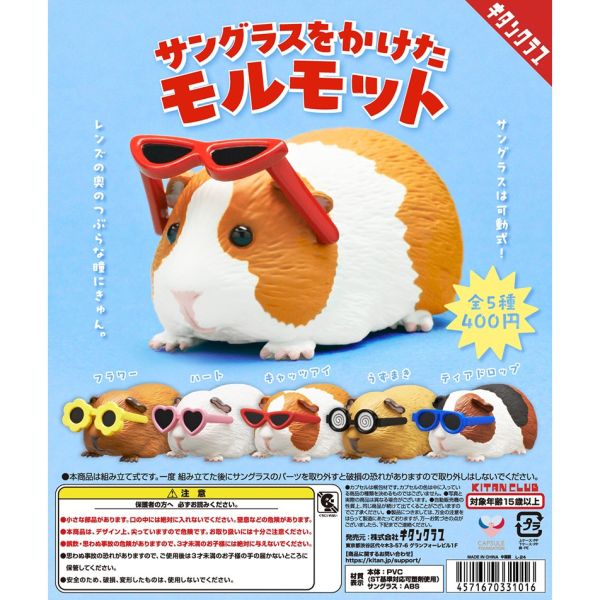 3A957『現貨』戴墨鏡的天竺鼠 KITAN 扭蛋 轉蛋 