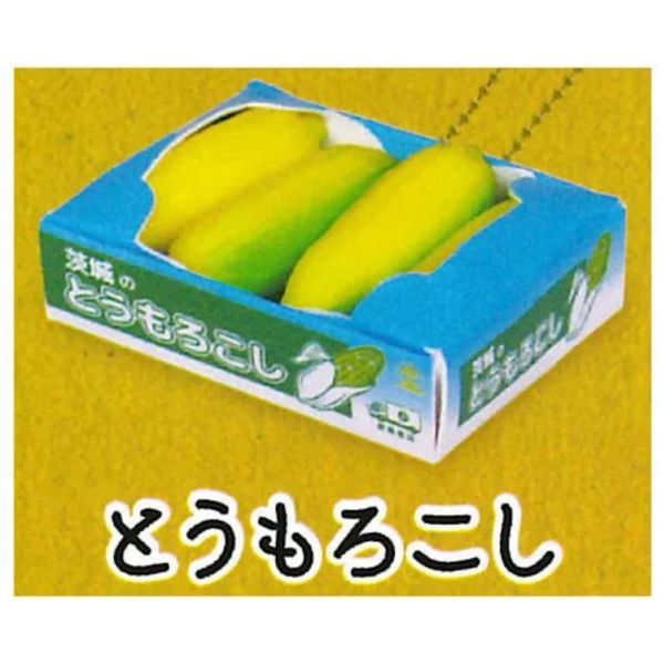 2A826『現貨』箱裝蔬菜模型吊飾P4 J.DREAM 扭蛋 轉蛋 