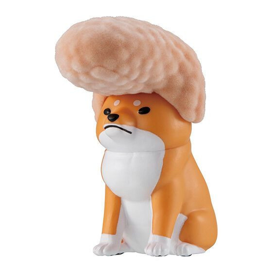 2A213『現貨』換毛期的柴犬 BANDAI 扭蛋 轉蛋 