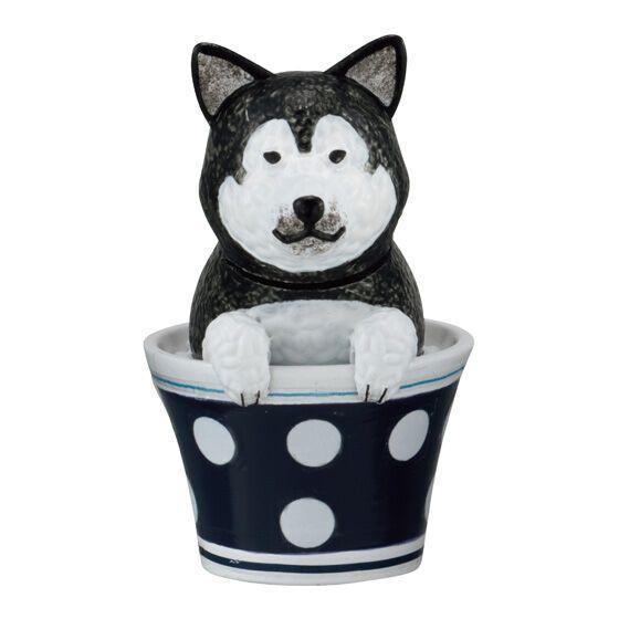 5A992『現貨』飯糰劇場動物公仔 BANDAI  扭蛋   轉蛋 