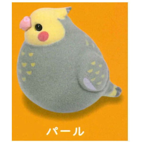 1A918『現貨』mochi mochi 鳥兒植絨軟膠公仔P3 J.DREAM 扭蛋 轉蛋 