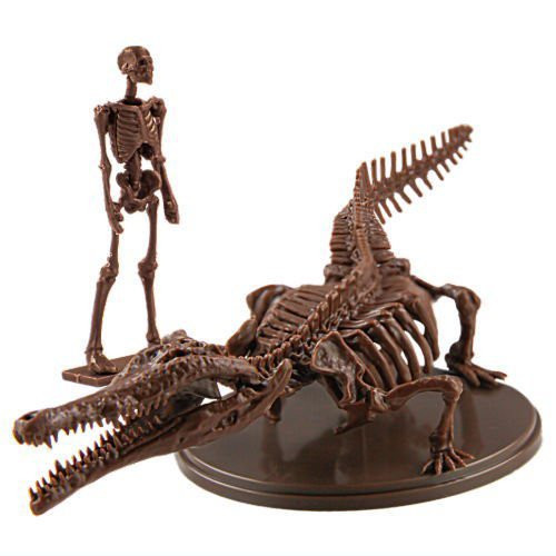 1A684『現貨』博物模型俱樂部 參-豐玉姬鱷篇 SO-TA 扭蛋 轉蛋 