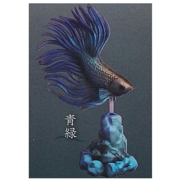 3A005『現貨』鬥魚~Betta~貳 Standstones 扭蛋 轉蛋 