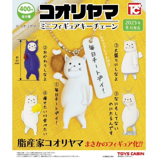 4A843『現貨』Kooriyama人物公仔吊飾 ToysCabin 扭蛋 轉蛋 