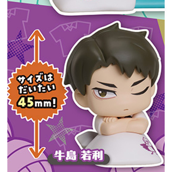 4A567『現貨』排球少年睡眠公仔P2-新色篇 Standstones 扭蛋 轉蛋 