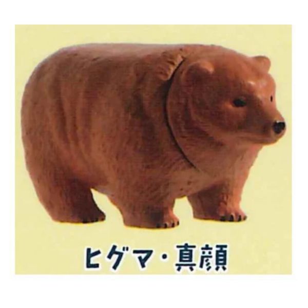 2A583『現貨』熊熊金字塔 YELL 扭蛋 轉蛋 