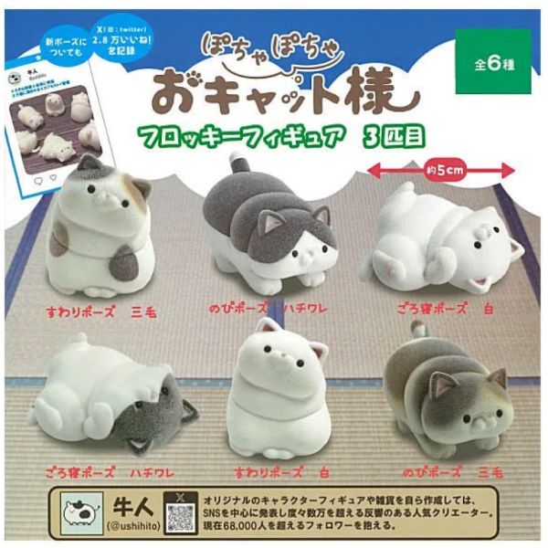 2A270『現貨』牛人胖嘟嘟貓咪植絨公仔P3 HMA 扭蛋 轉蛋 