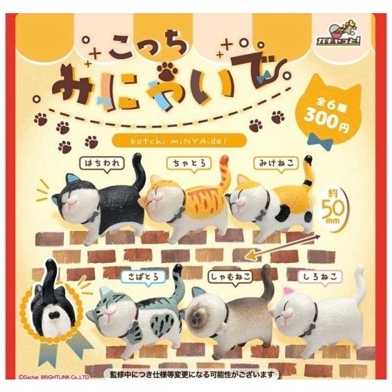 2A496『現貨』不要看喵 Bright link 扭蛋 轉蛋 