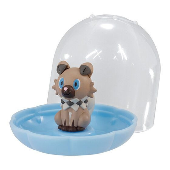 2A159『現貨』精靈寶可夢飾品收納盒P7 BANDAI 扭蛋 轉蛋 