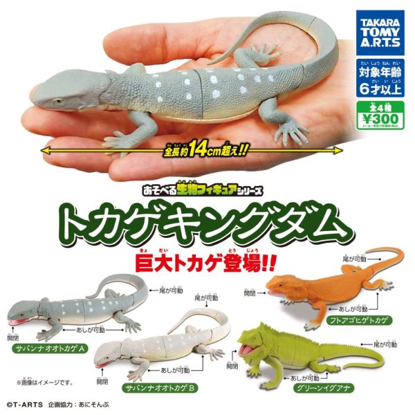 3A371『現貨』可動生物模型-巨大蜥蜴篇 T-ARTS 扭蛋 轉蛋 
