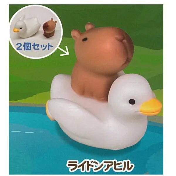 3A811『現貨』水豚的日常公仔 AMUSE 扭蛋 轉蛋 