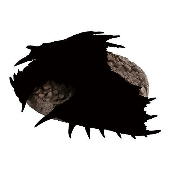 3A848『現貨』捕獲魔物獵人公仔P3 BANDAI 扭蛋 轉蛋 