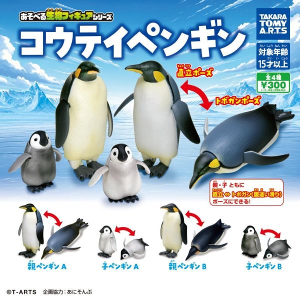 5A587『現貨』可動生物模型-皇帝企鵝   T-ARTS  扭蛋   轉蛋 