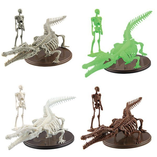 1A684『現貨』博物模型俱樂部 參-豐玉姬鱷篇 SO-TA 扭蛋 轉蛋 