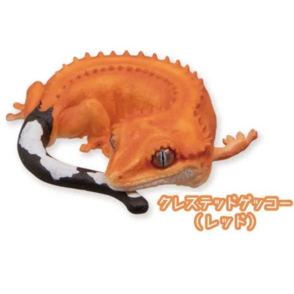 2A782『現貨』肥尾守宮與睫角守宮晚安公仔 Qualia 扭蛋 轉蛋 