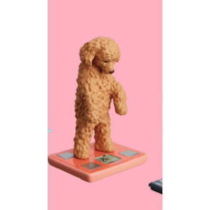 2A912『現貨』站上TANITA 體重計的動物們P2 T-ARTS 扭蛋 轉蛋 