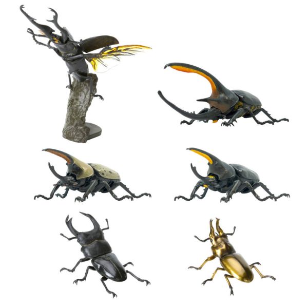 1A426『現貨』生物大圖鑑-昆蟲篇03 BANDAI 扭蛋 轉蛋 