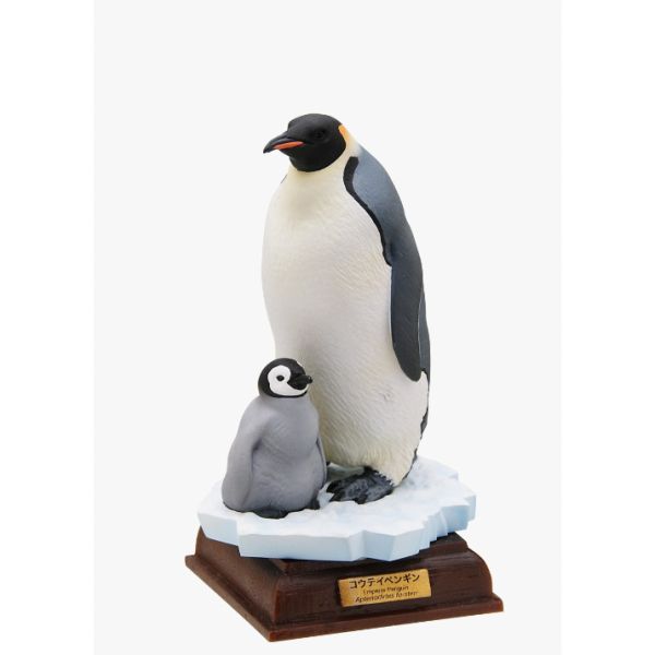 1A266『現貨』NTC圖鑑-南極大陸生命紀行 特別篇 IKIMON 扭蛋 轉蛋 