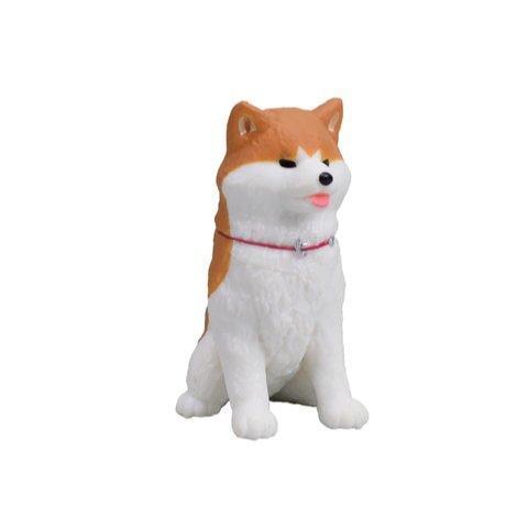 5A224『現貨』秋田犬公仔P3   Tarlin  扭蛋   轉蛋 