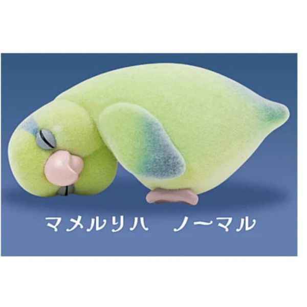 2A781『現貨』睡著了鸚鵡公仔 Qualia 扭蛋 轉蛋 