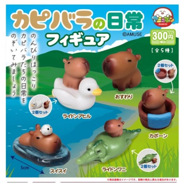 3A811『現貨』水豚的日常公仔 AMUSE 扭蛋 轉蛋 