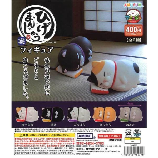 3A798『現貨』鬍鬚饅頭貓睡覺公仔 AMUSE 扭蛋 轉蛋 