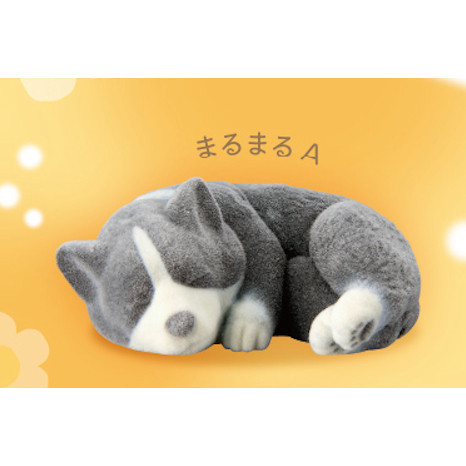 3A543『現貨』植絨柯基公仔 T-ARTS 扭蛋 轉蛋 