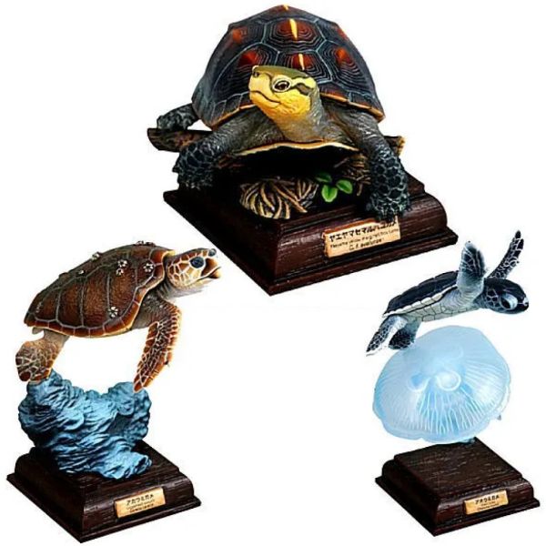 2A813『現貨』NTC圖鑑-日本烏龜 特裝版 IKIMON 扭蛋 轉蛋 