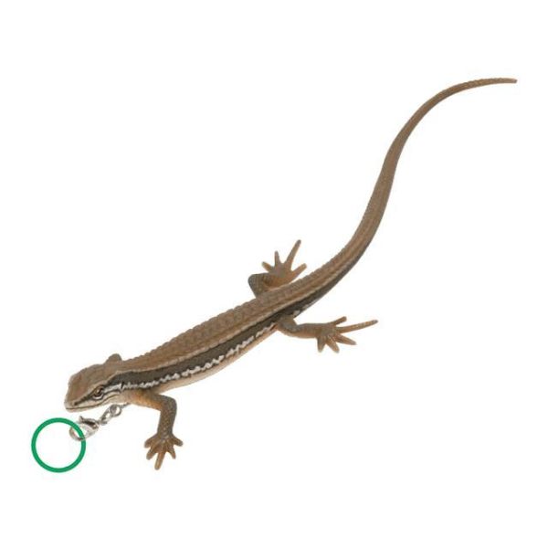 5A795『現貨』NTC-蜥蜴與壁虎造型吊飾   IKIMON  扭蛋   轉蛋 