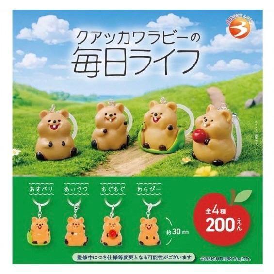 『預購』9月  短尾矮袋鼠日常造型吊飾   Bright link  扭蛋   轉蛋 